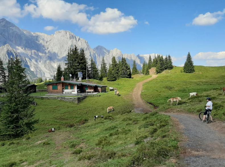 Hochkoenig Ferien Daire Mühlbach am Hochkönig Dış mekan fotoğraf
