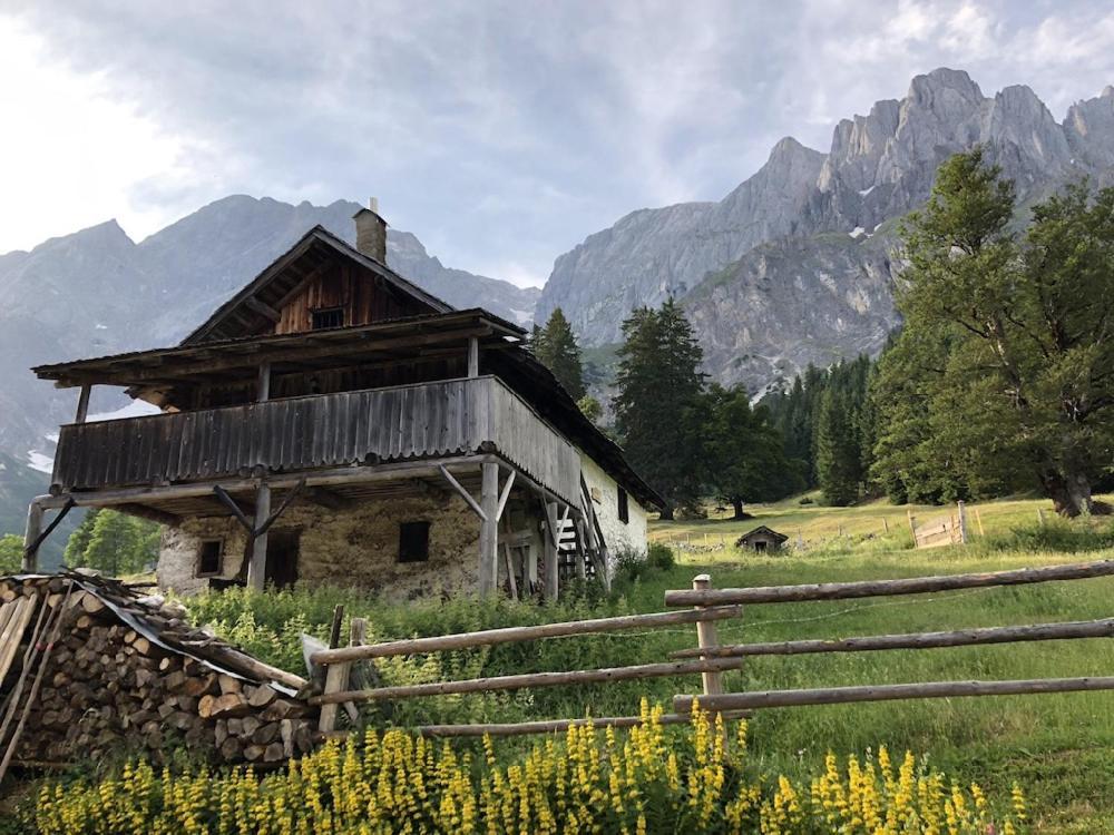 Hochkoenig Ferien Daire Mühlbach am Hochkönig Dış mekan fotoğraf